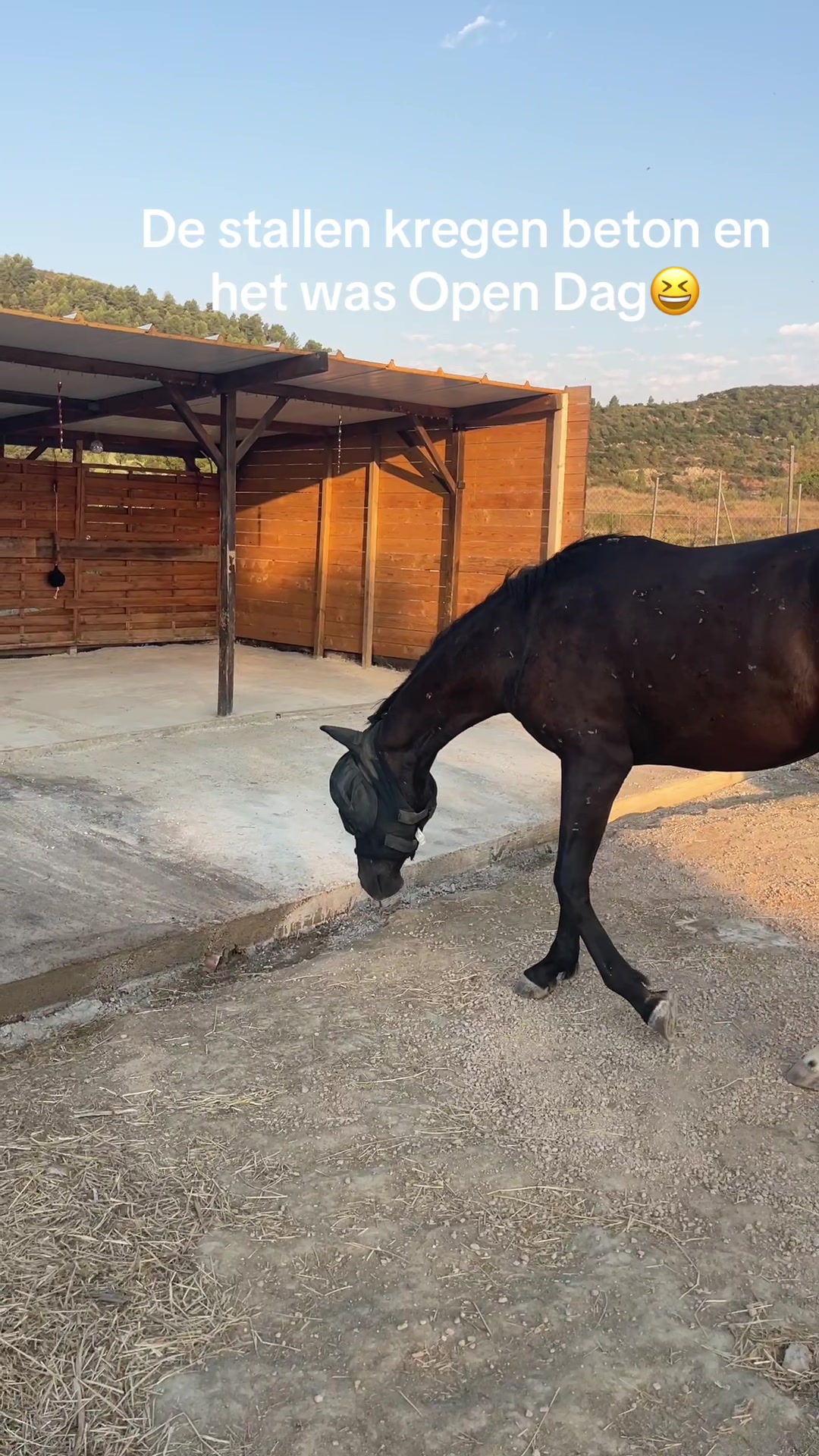 @Liesbeth-EquiViento🐴🇪🇸