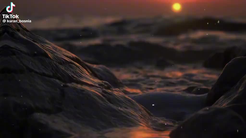 @_NEON_