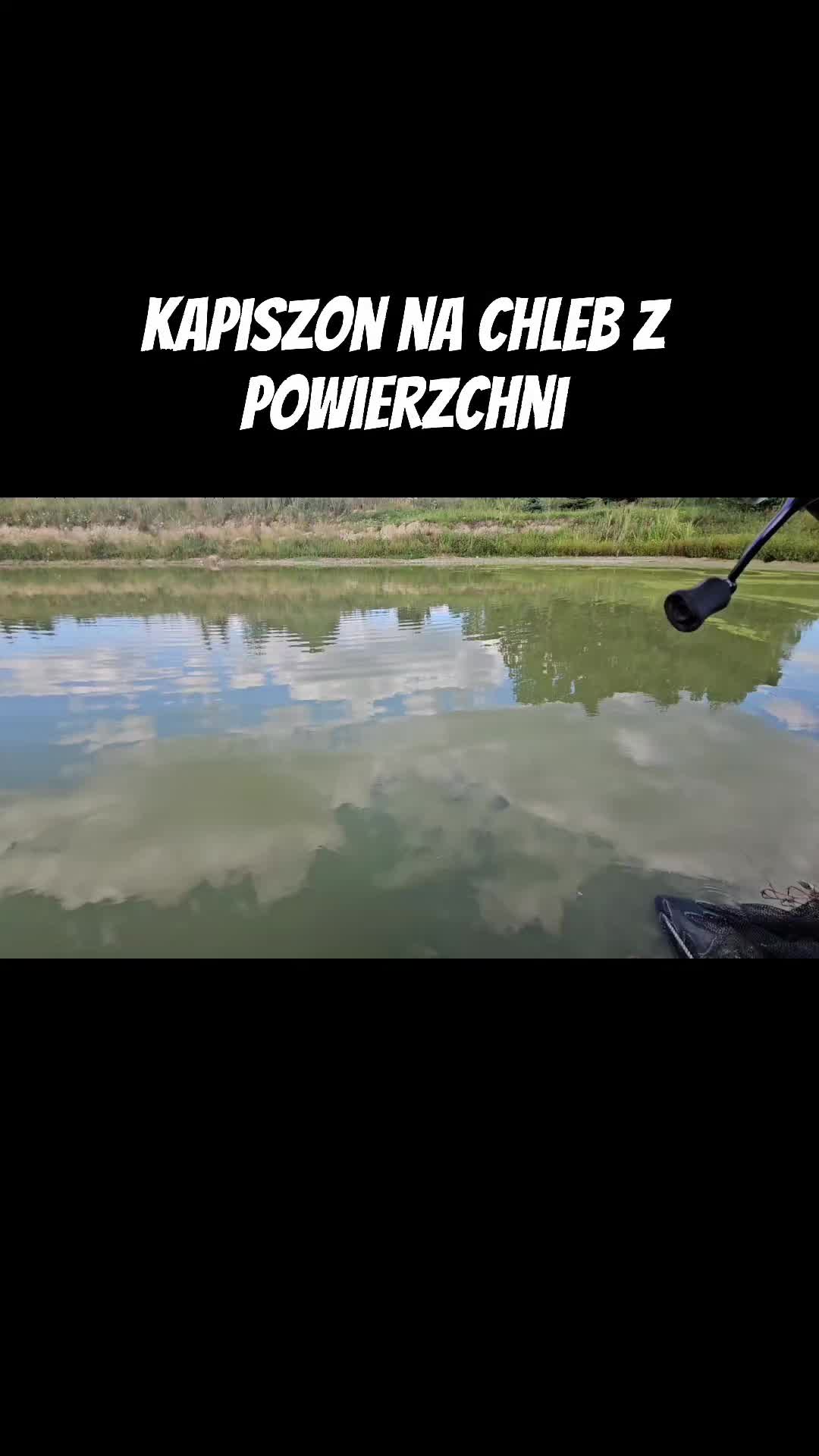 @mfly_lures