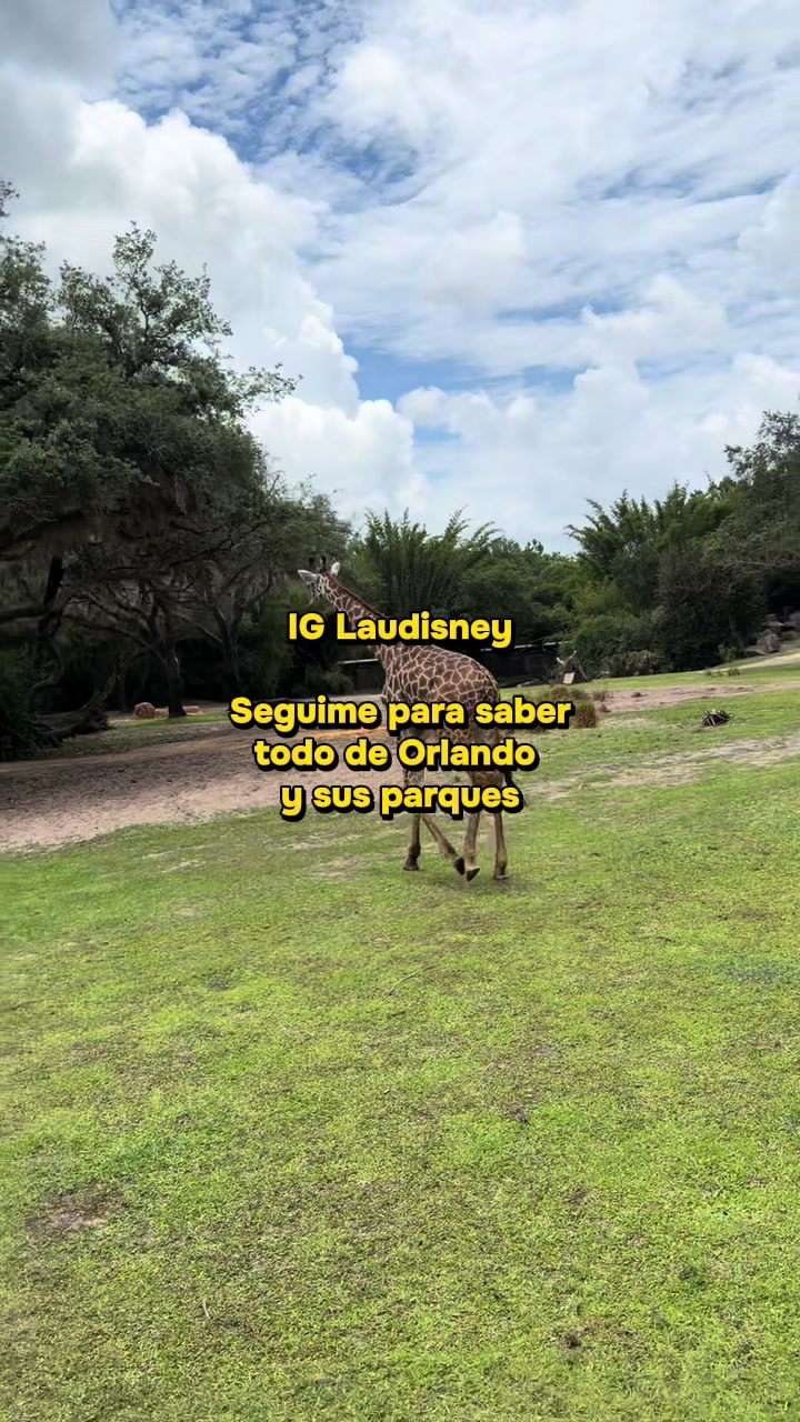 @LAURA RIVAS
