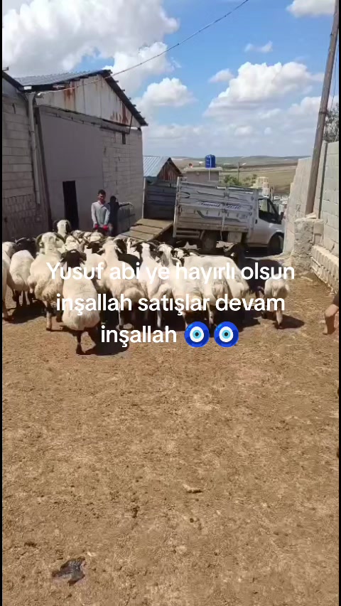 @nedim can ataş