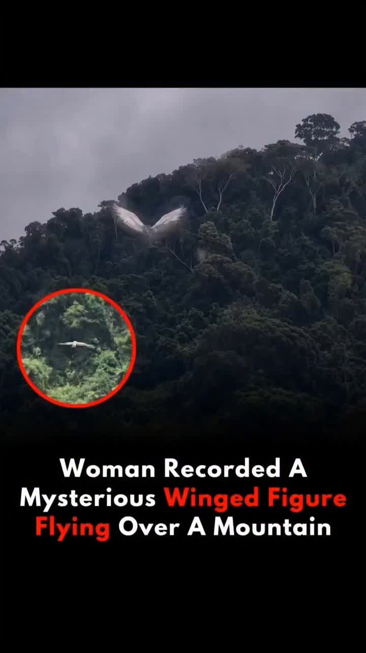@Aliens