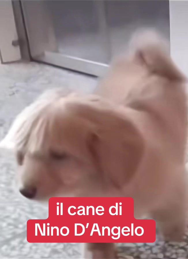 @Umberto Marasco