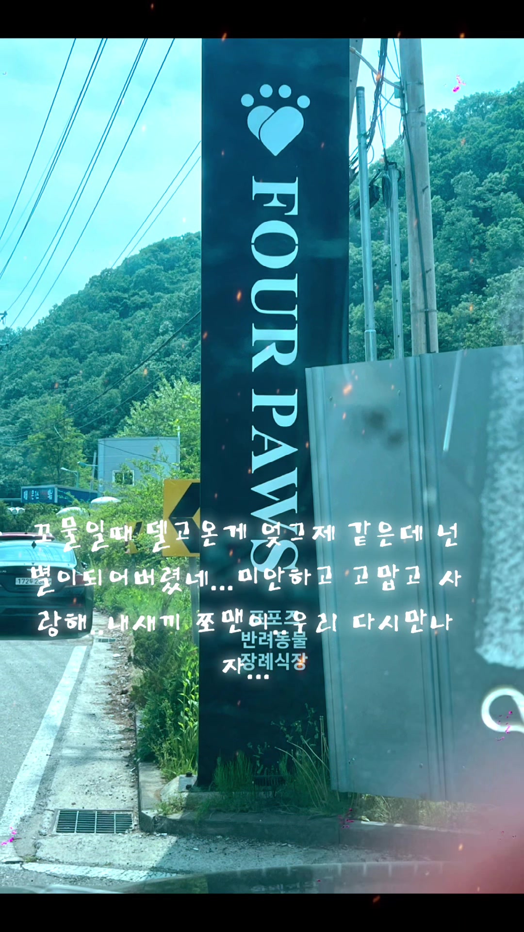 @롤타는 왕유니실장