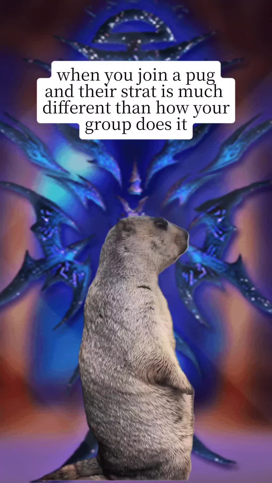 @Veelia in Azeroth
