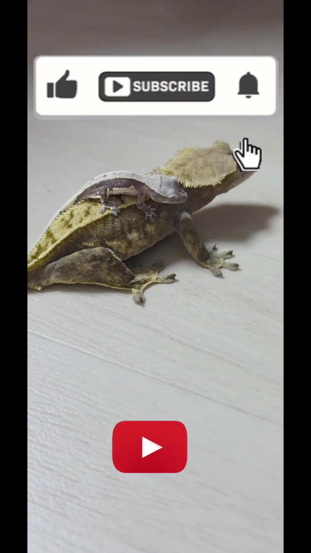 @크레크도- keulekeudo