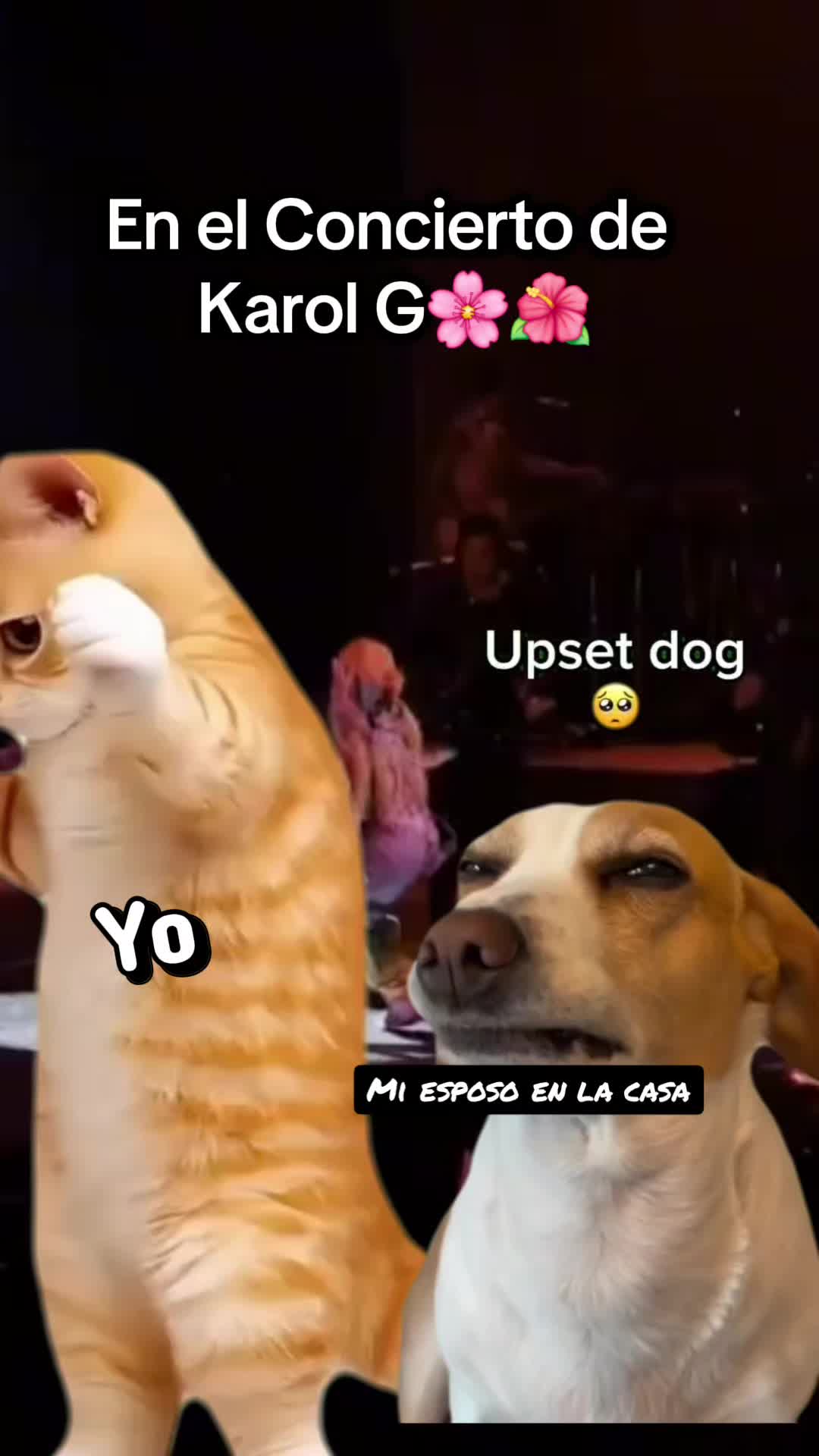 @Karla Sibrian