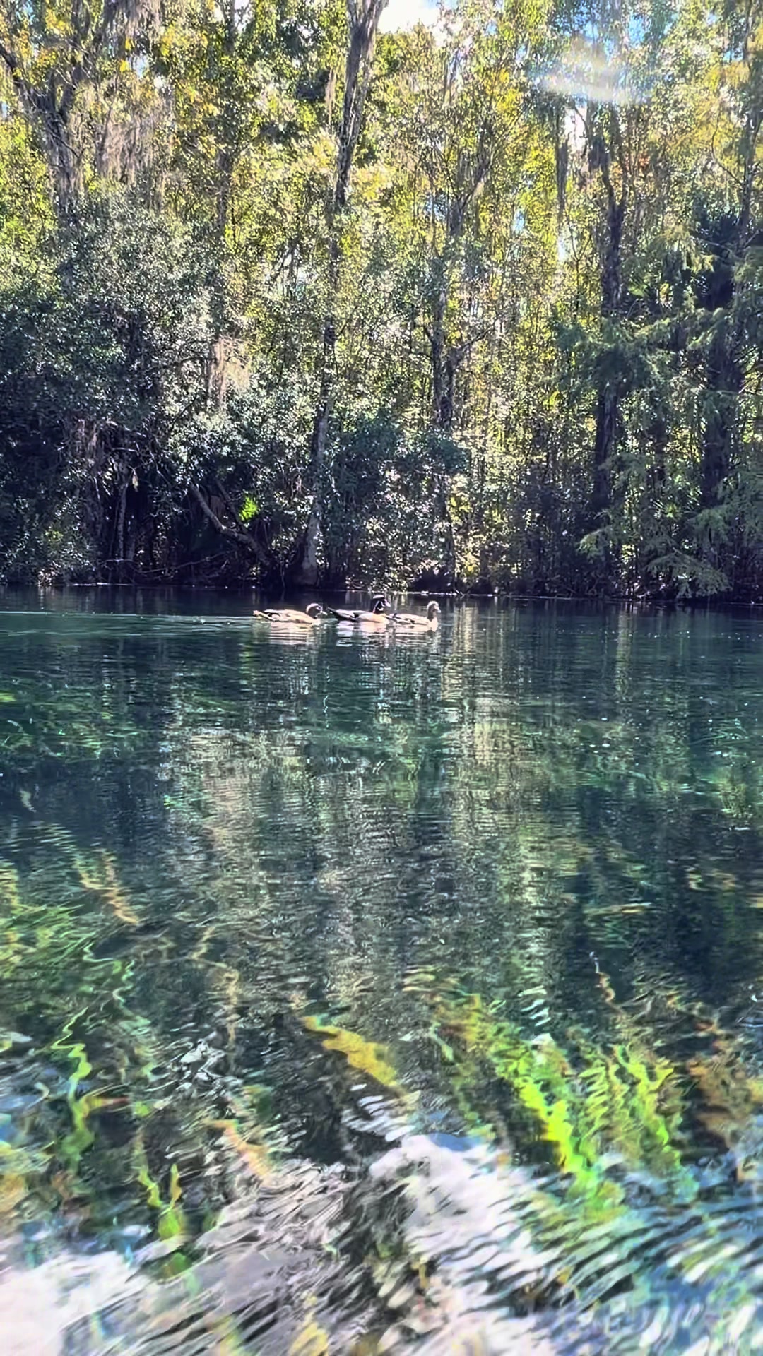 @Wet Rabbit Kayaks
