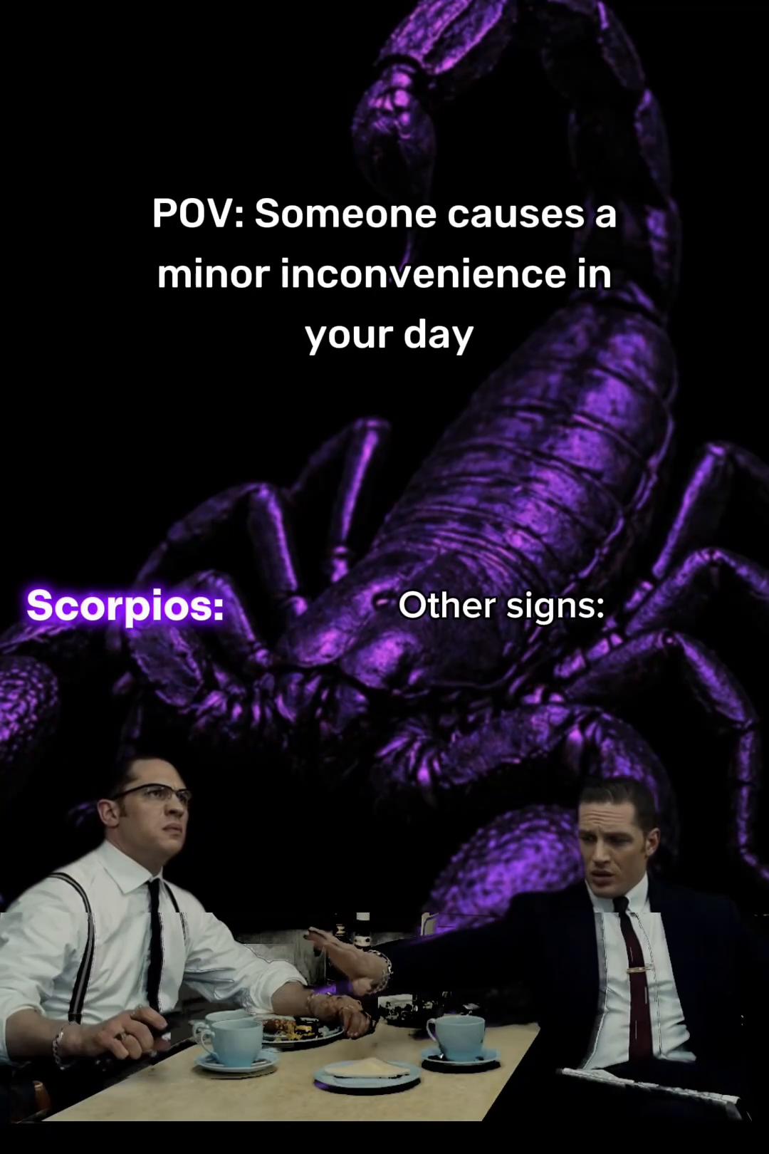 @The House of Scorpio 🦂