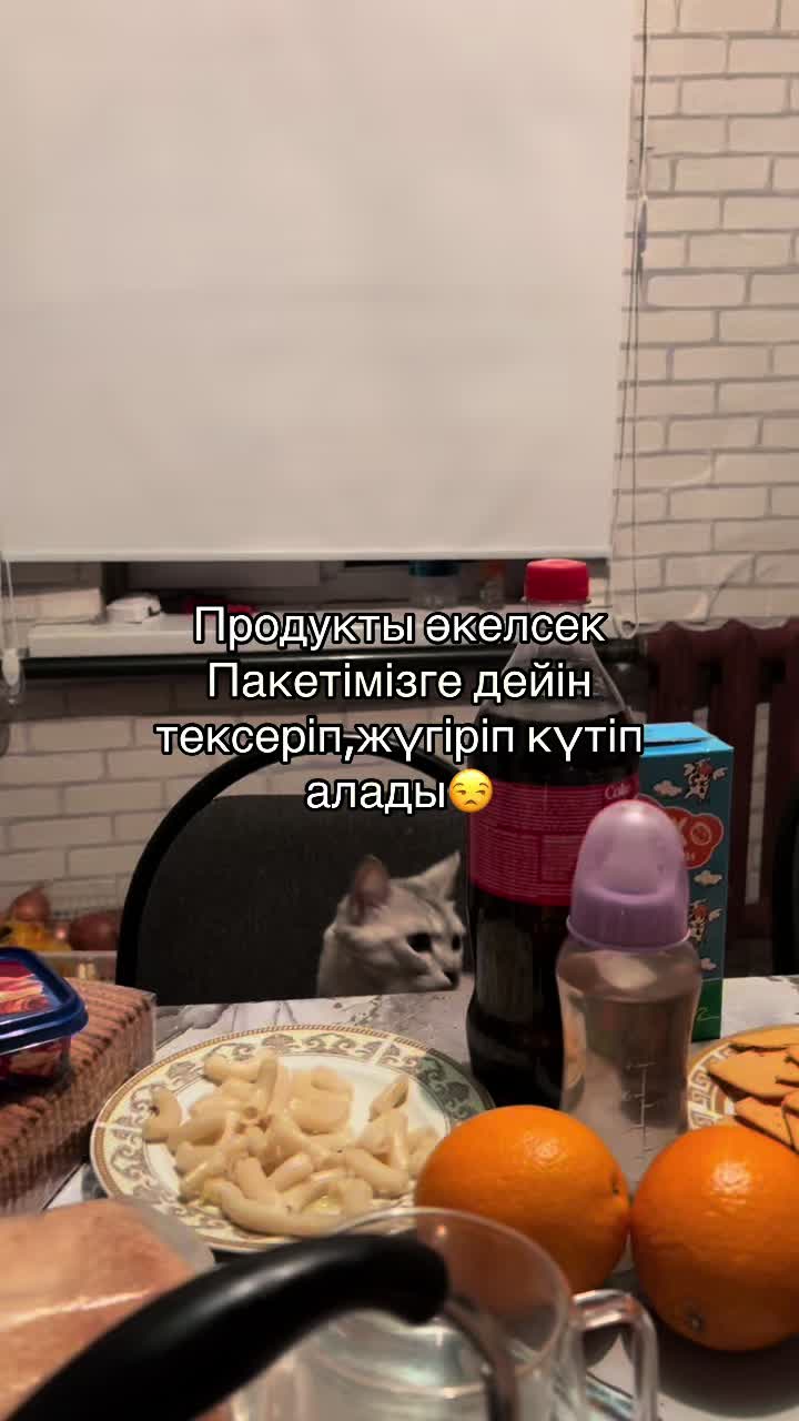 @boni04akx