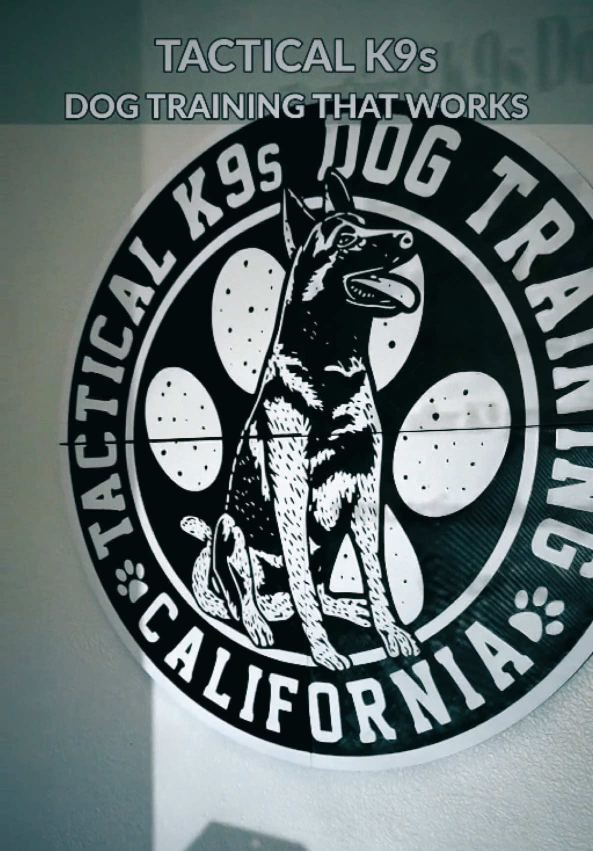 @Tactical K9s Dog Training