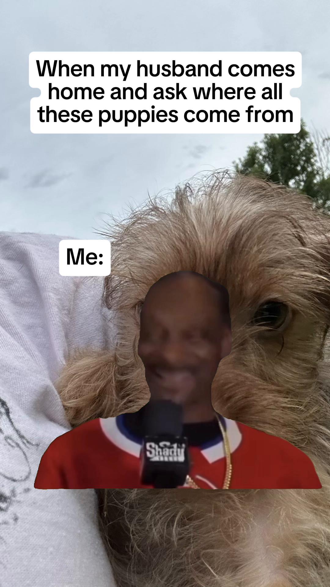 @🍯 🦖 🔥 dogmoneyhunnay 🥋 🚒