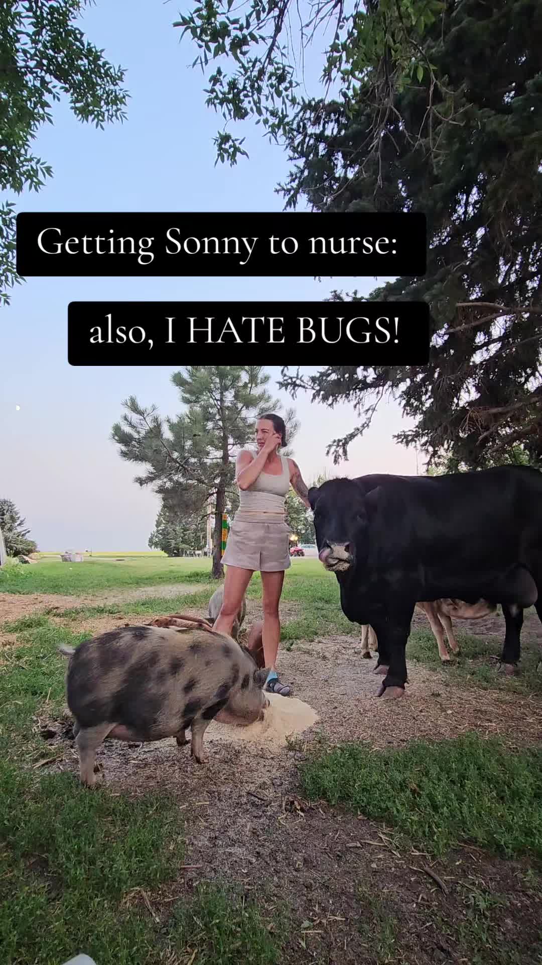 @Dakotafunnyfarm