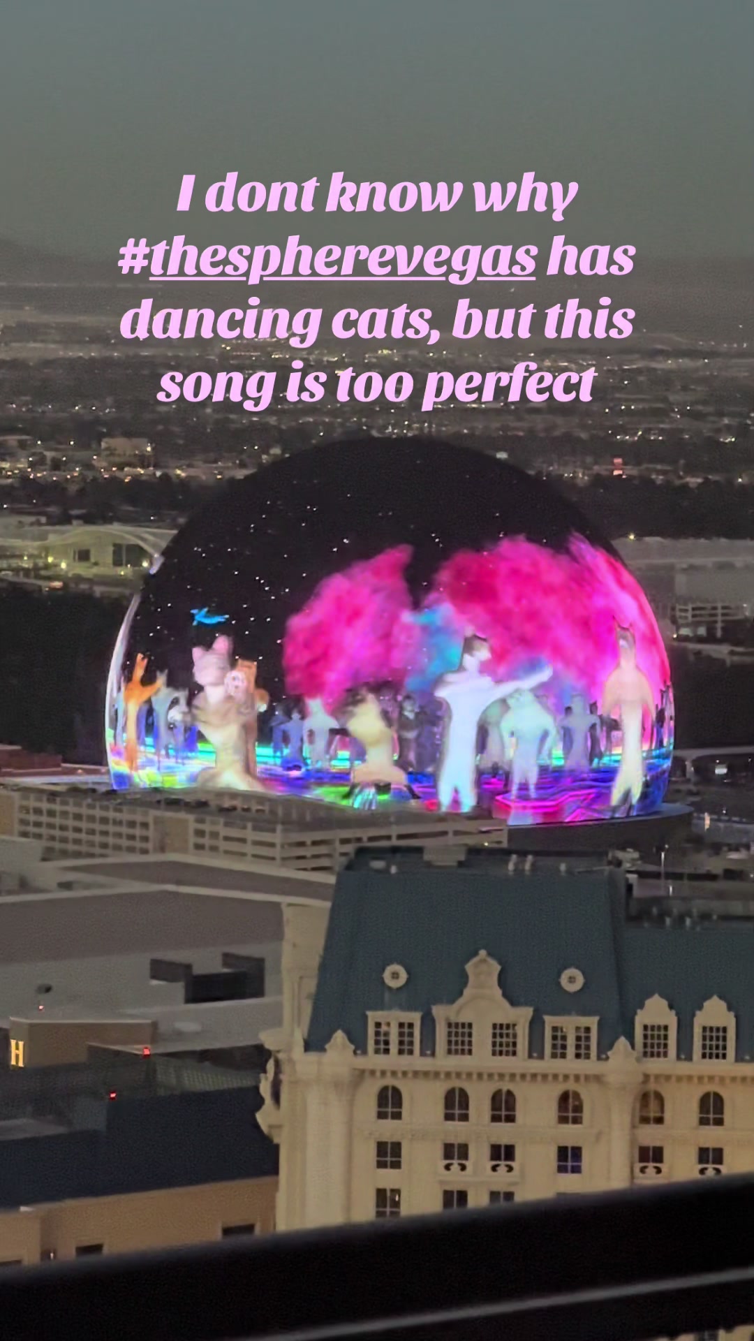 @Cat