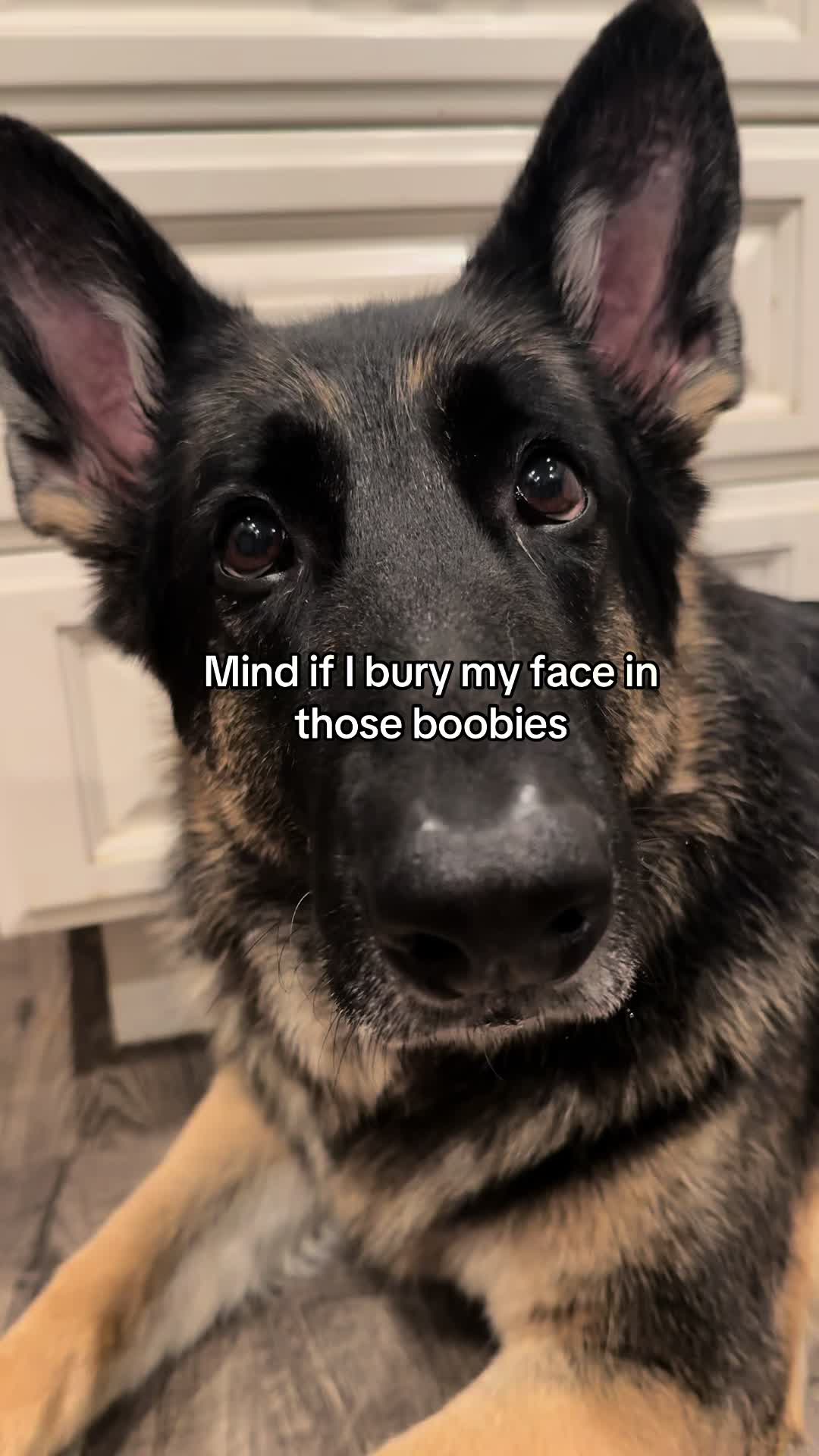@Bhris