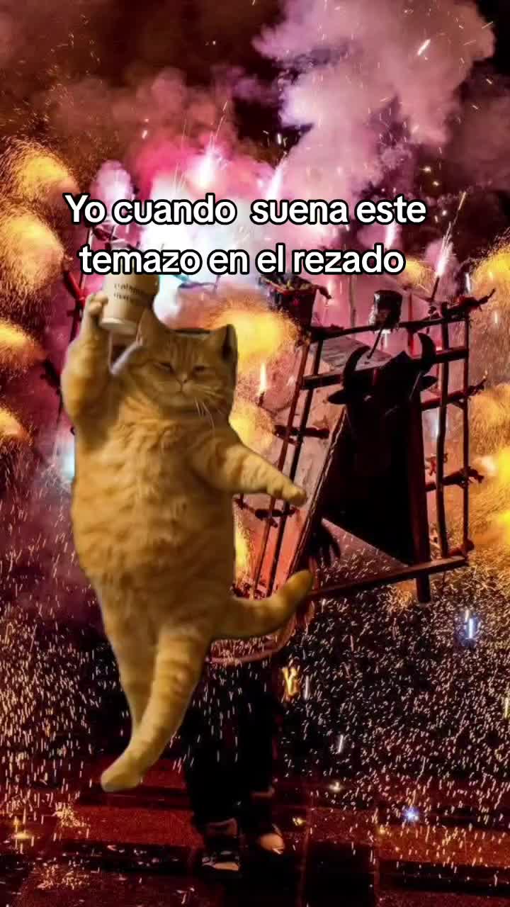@Dany