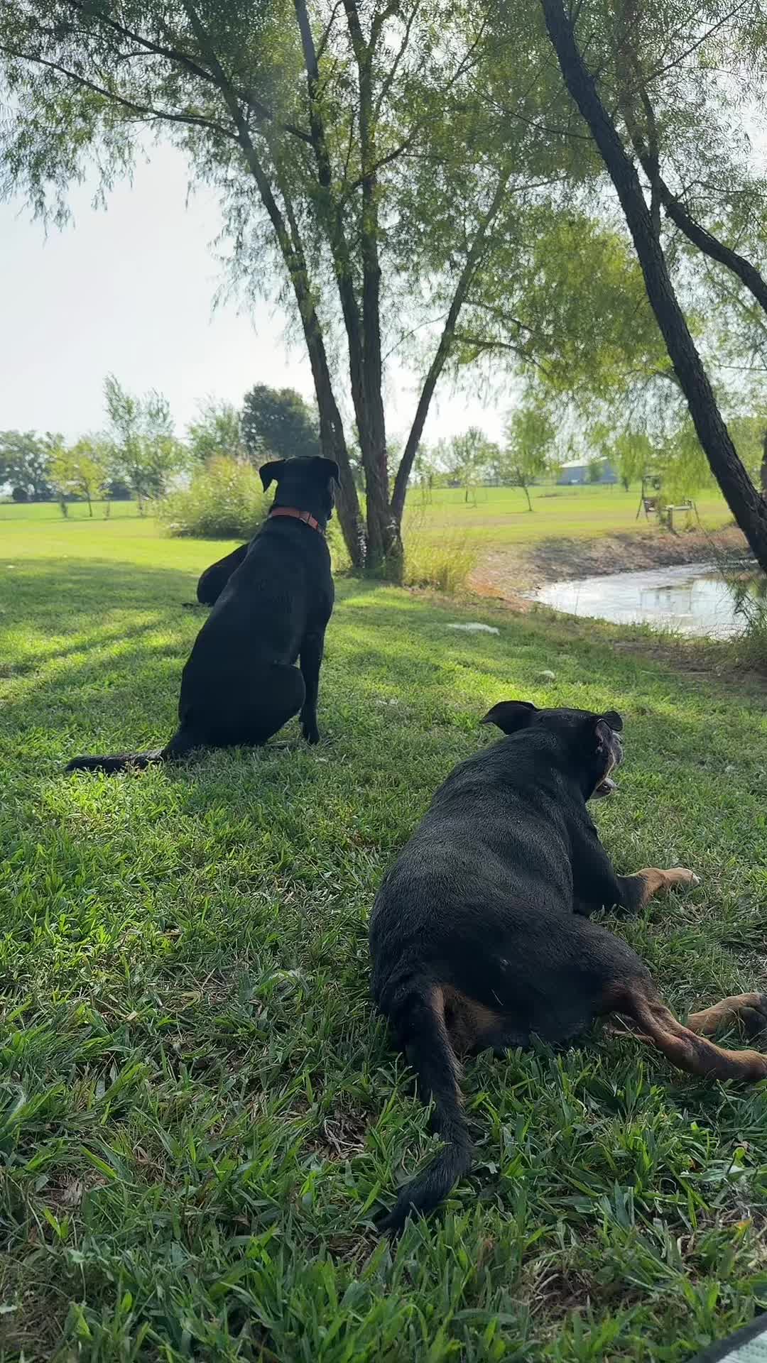 @NonniesFunnyFarm