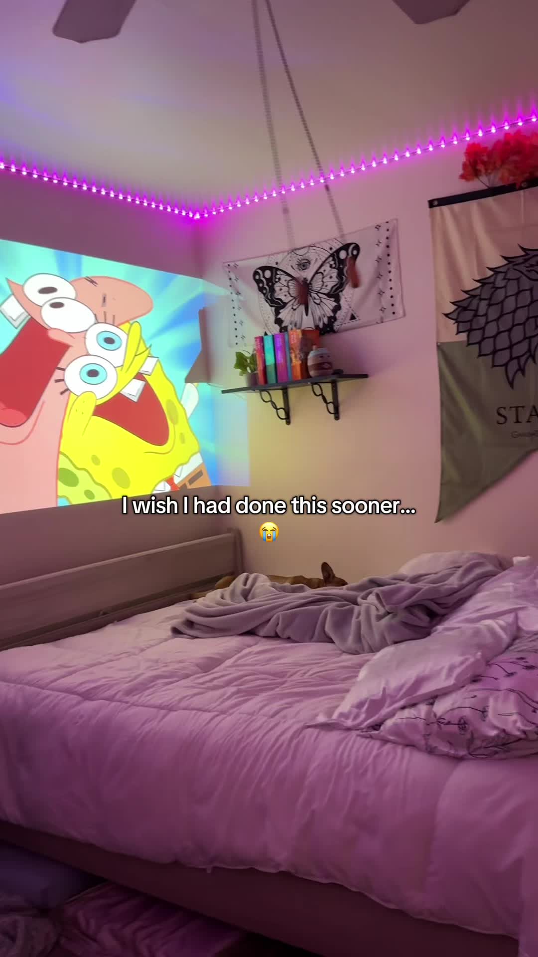 @DoraPalm 💖
