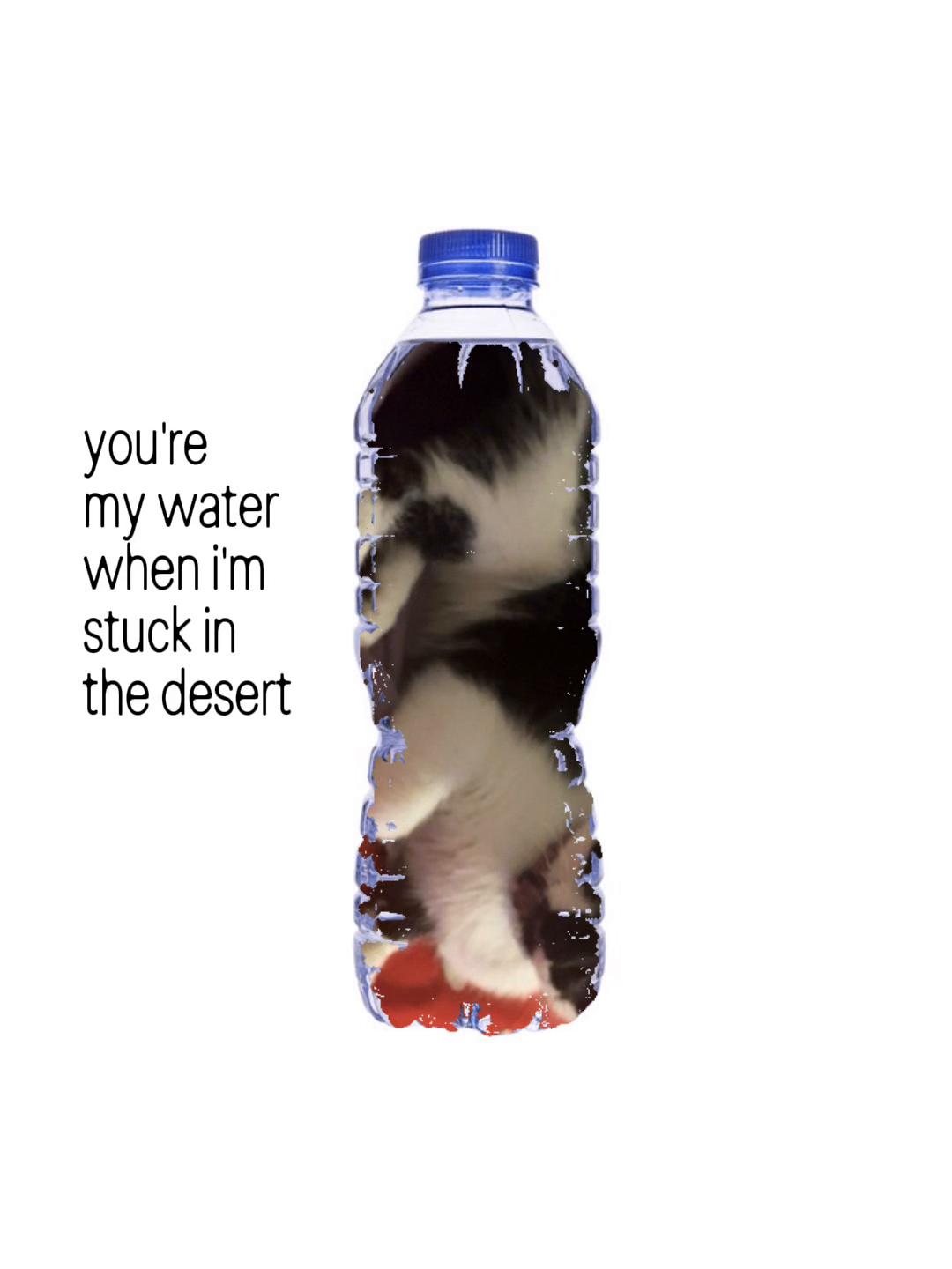 @angel(secretly vanilla)