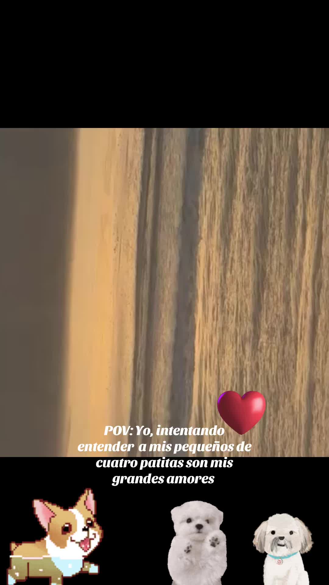 @los3huevertos
