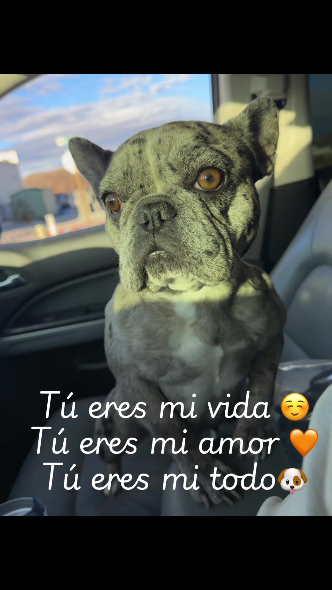 @Miel.60