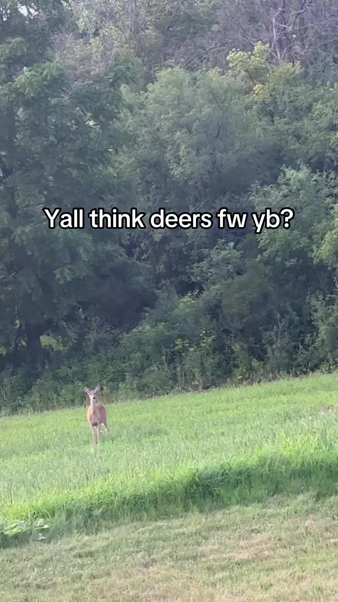 @WhisTrey