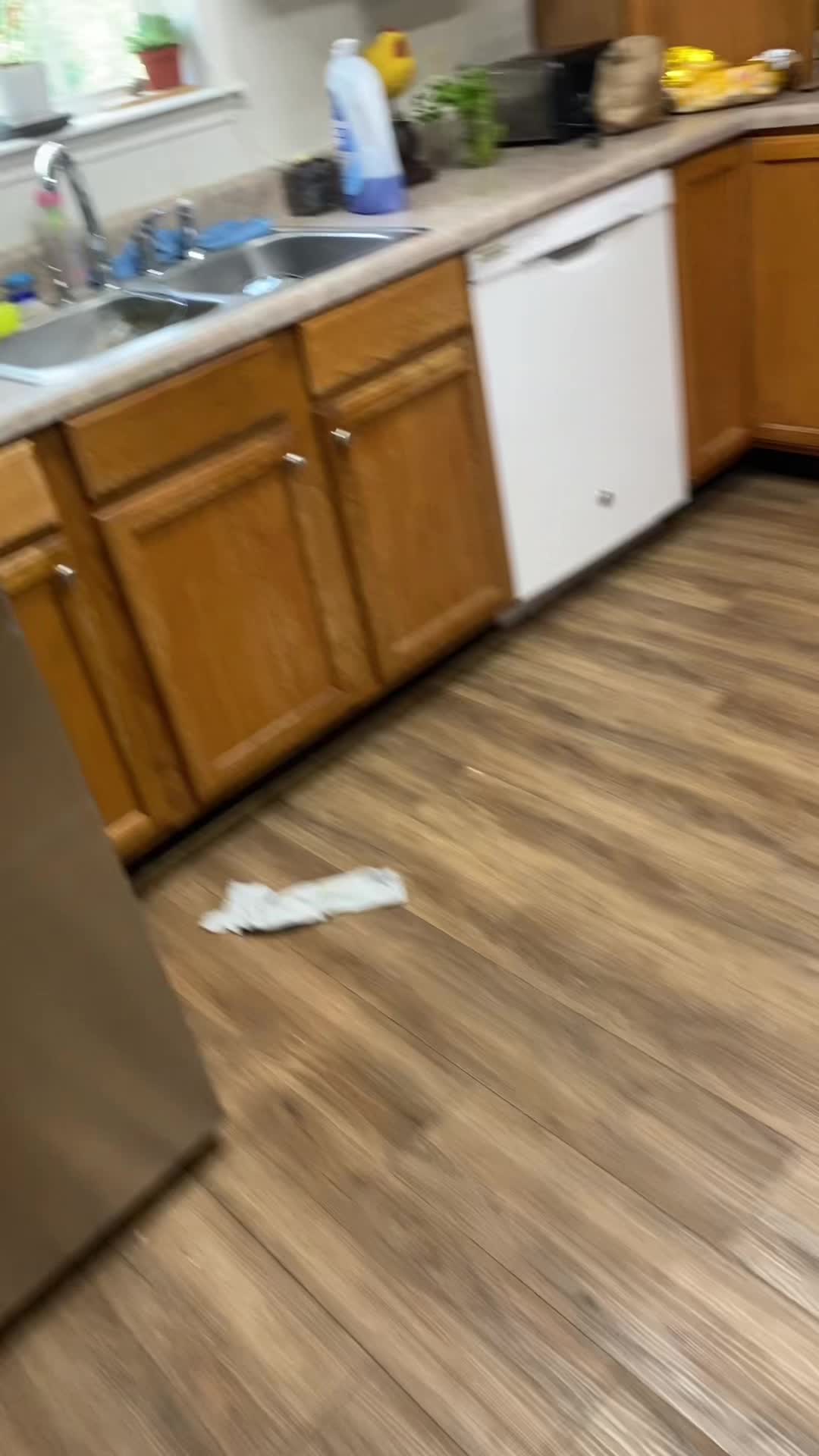 @MrSe&ntilde;or