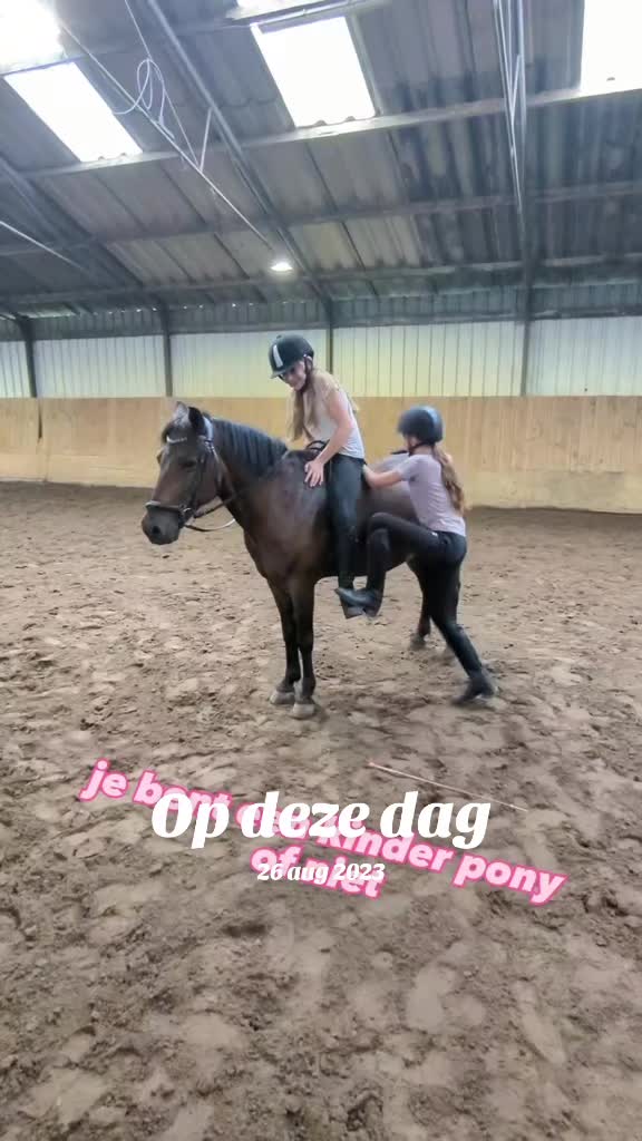 @Elegantia Horses