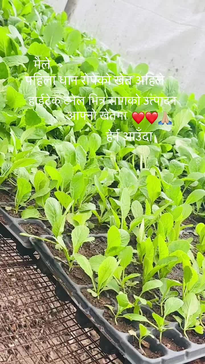 @Bhagwati P
