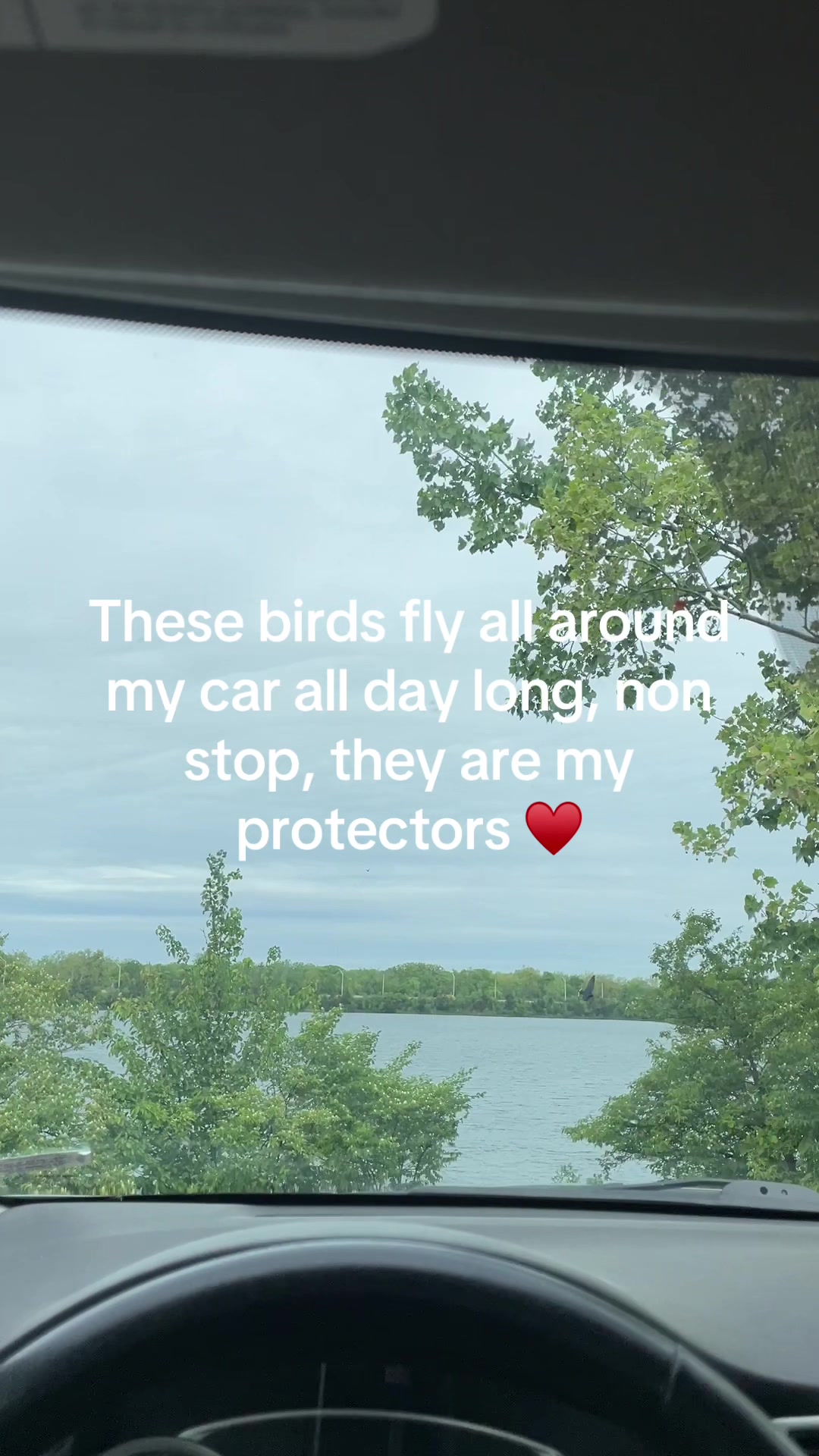 @peace.love.sagittarius.888