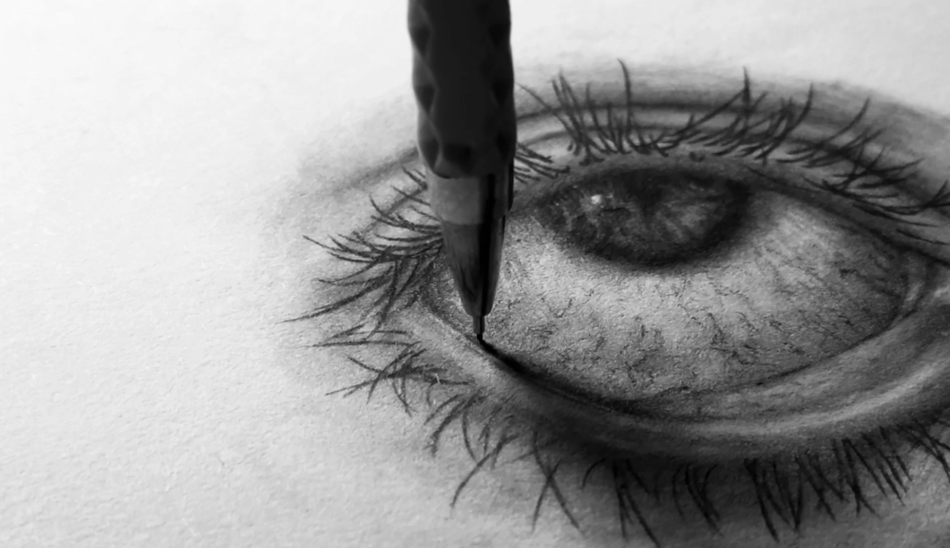 @🪳 Hipuso là con gián nhỏ 🎨