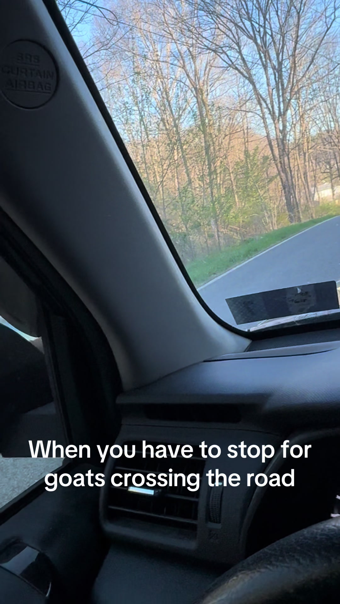 @Ashley Shelton