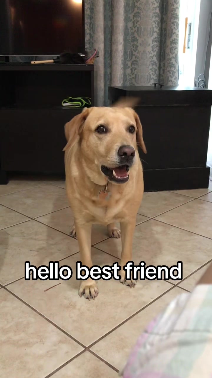 @maddie