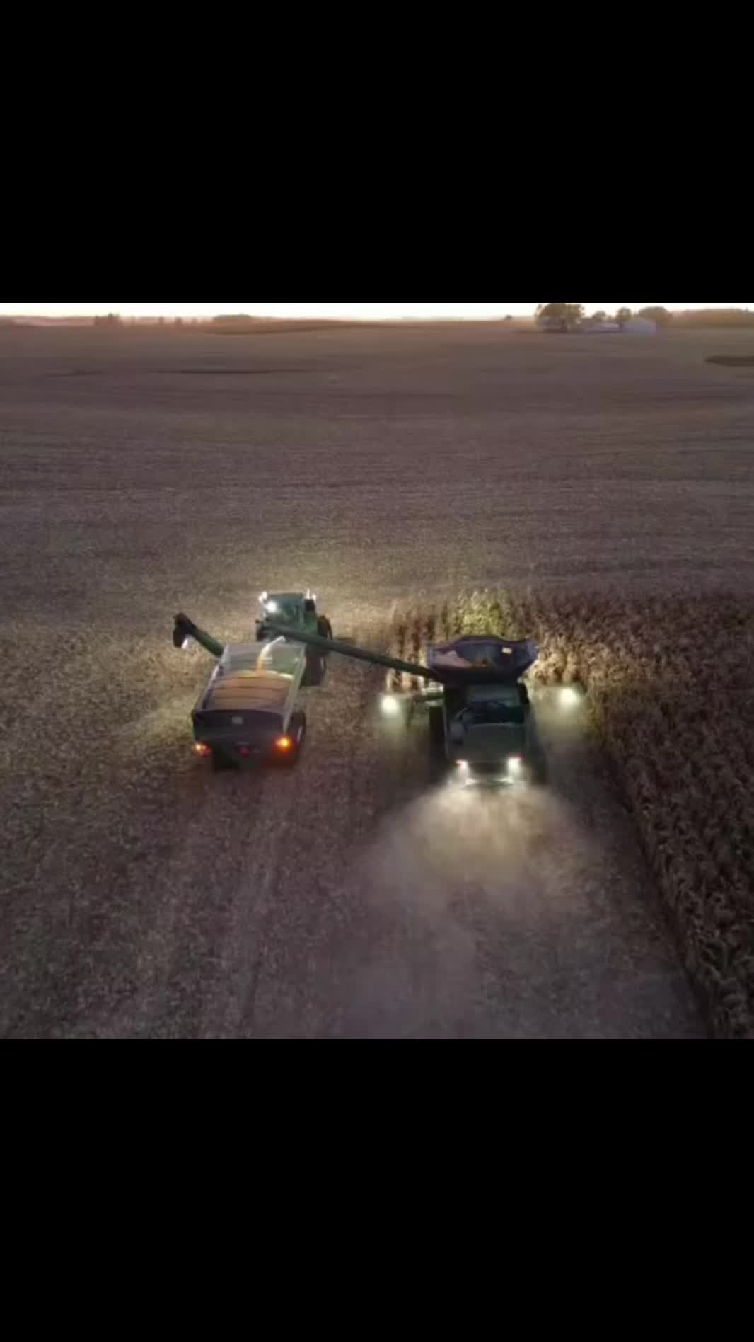 @frieler_family_farms
