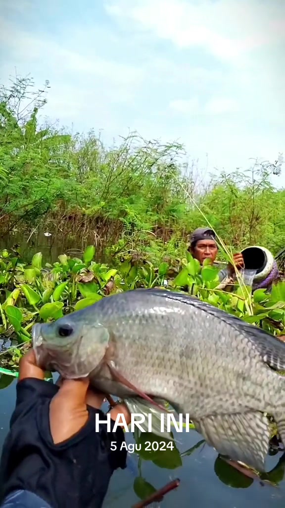 @MAFIA FISHING