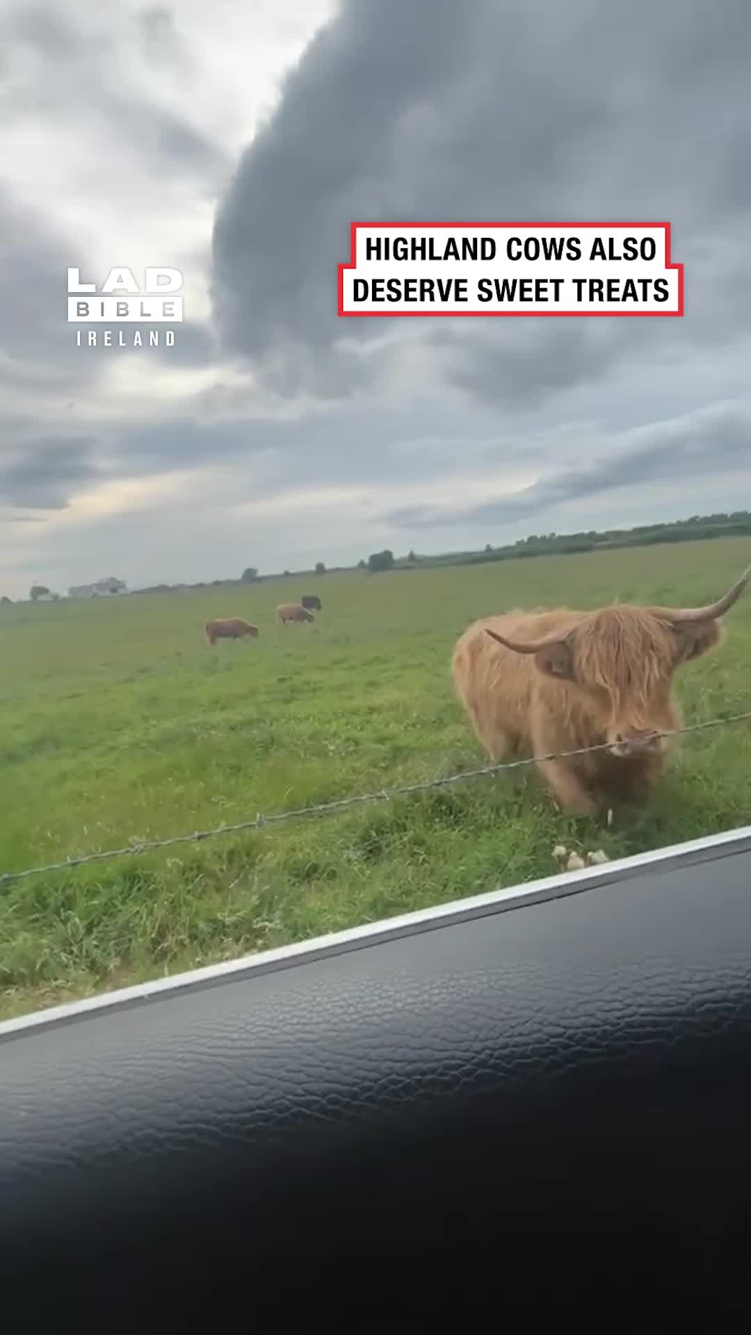 @LADbible Ireland