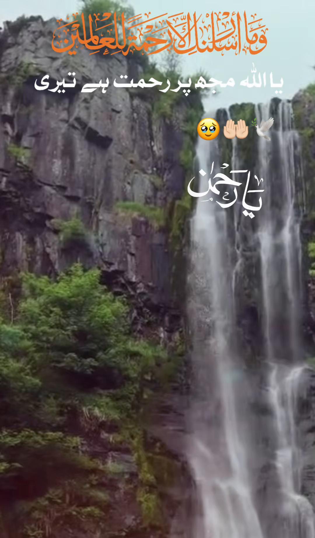 @madinamunawar7
