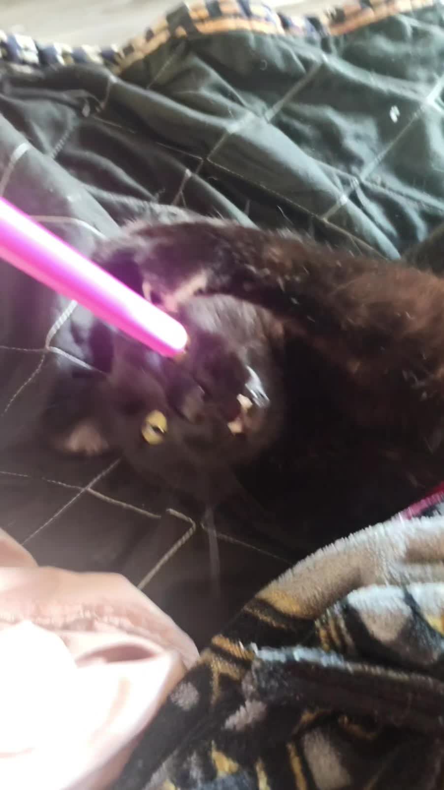 @kat