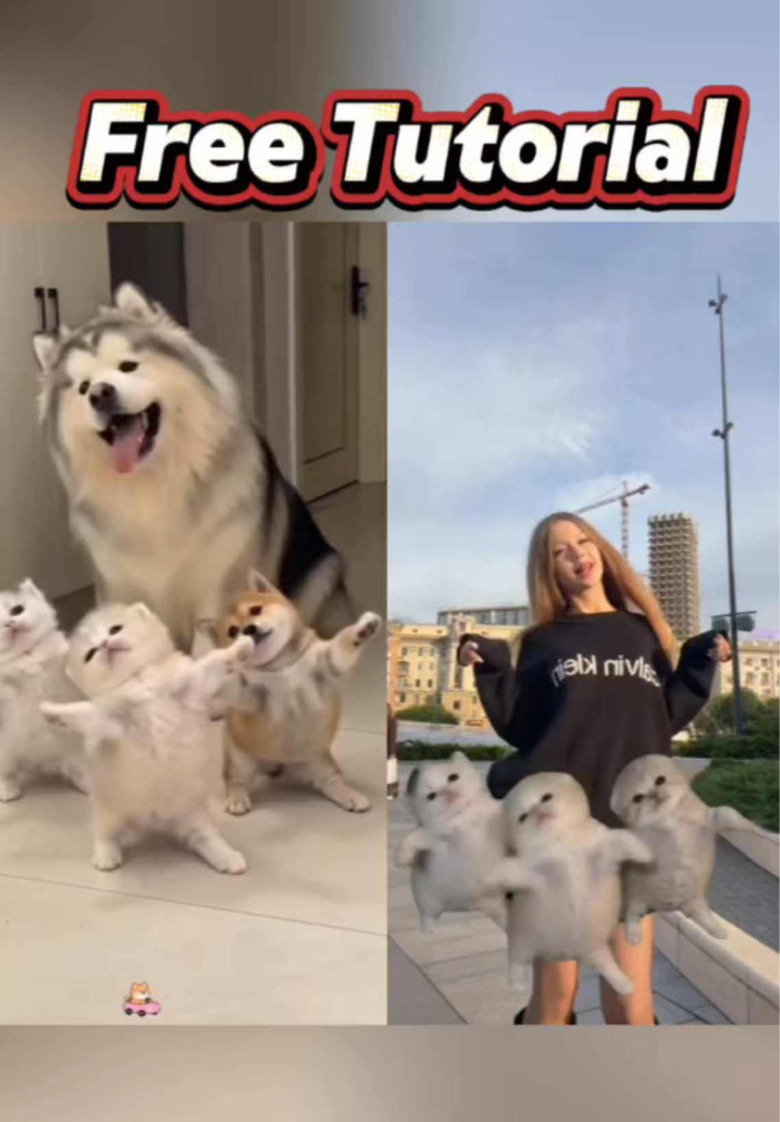 @Emily