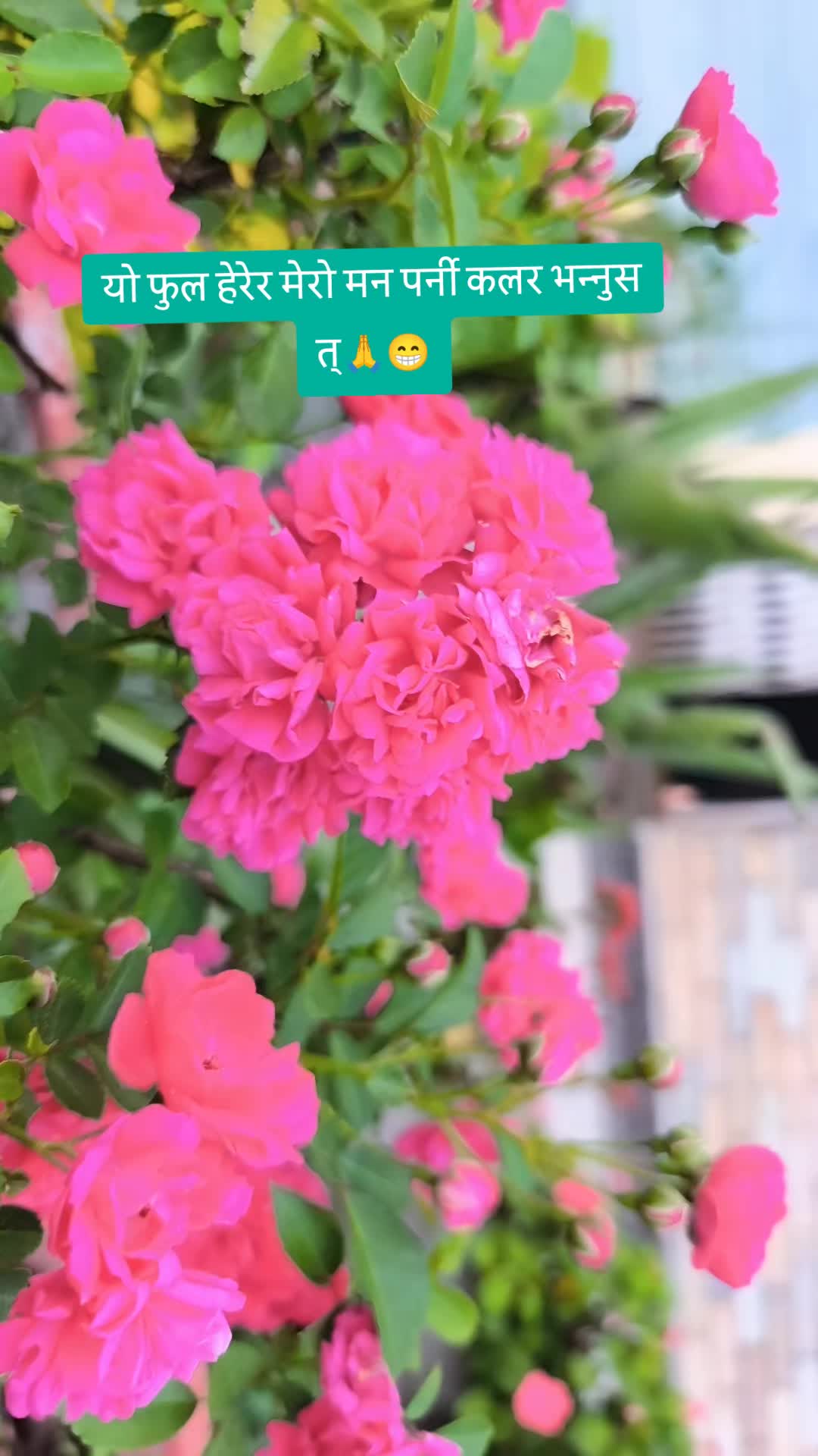 @Sara❤️Dipson📿
