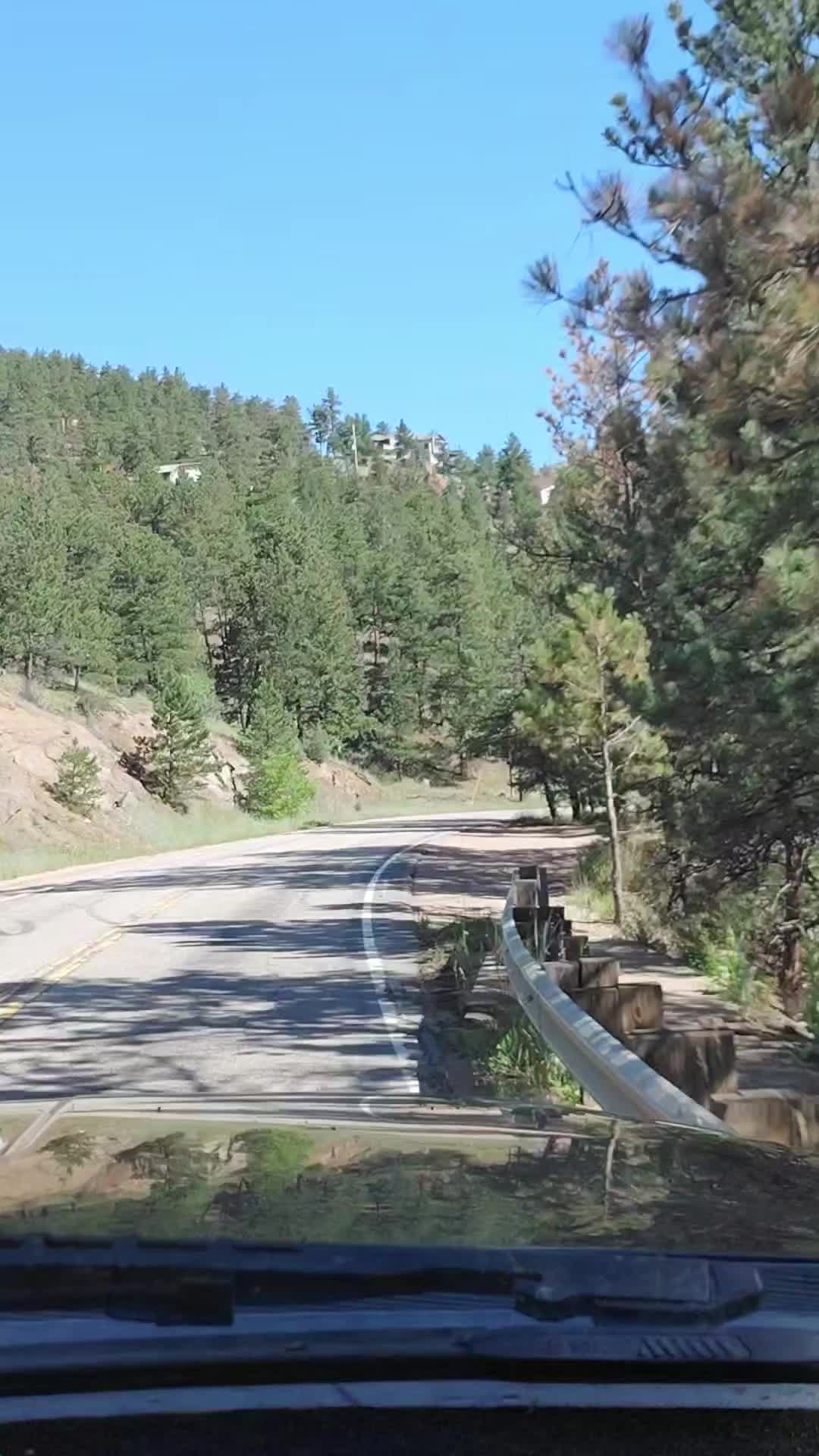 @lorenzo01