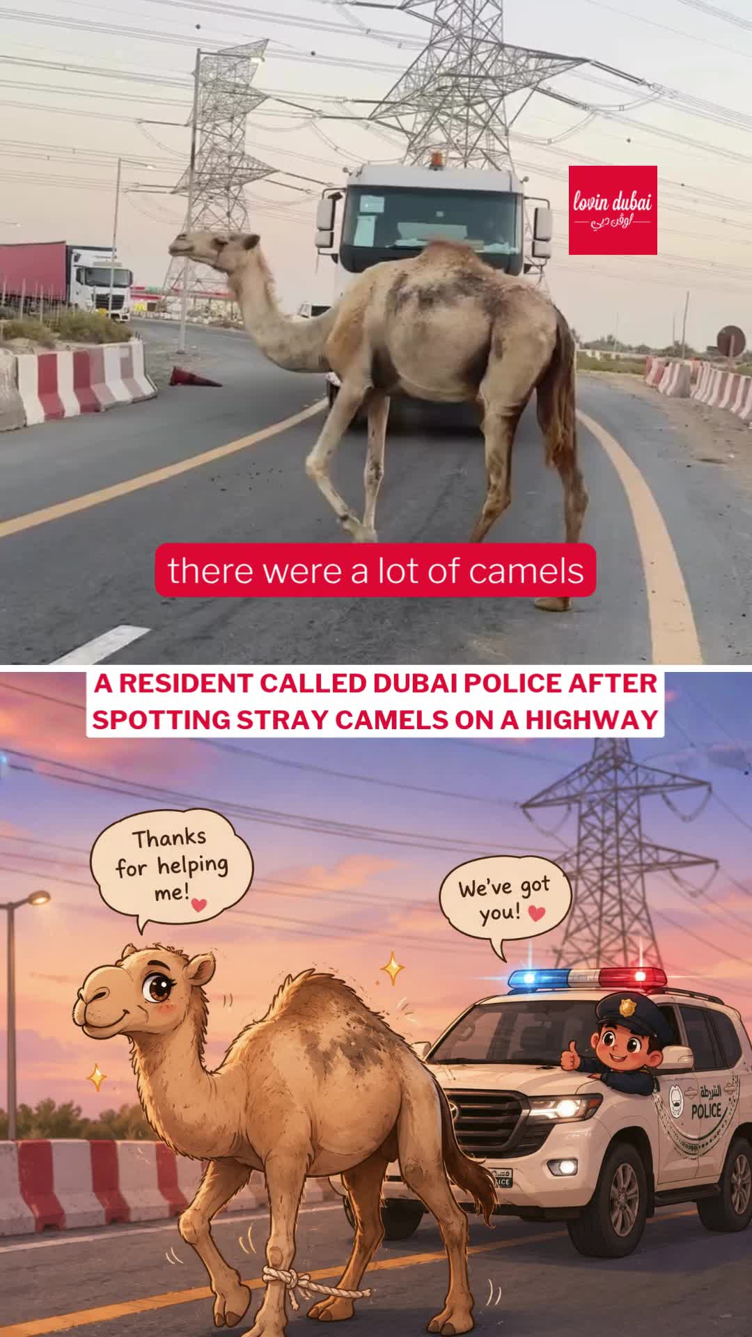 @Lovin Dubai | لوڤن دبي