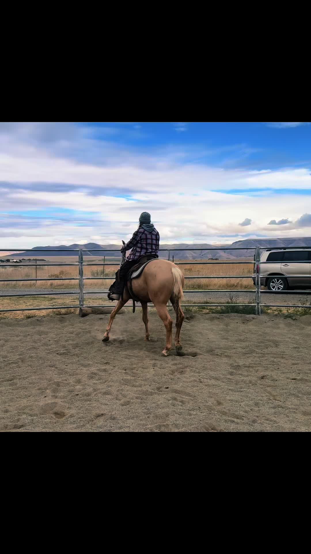 @Cowgirl Tuff Colt Training ❤️