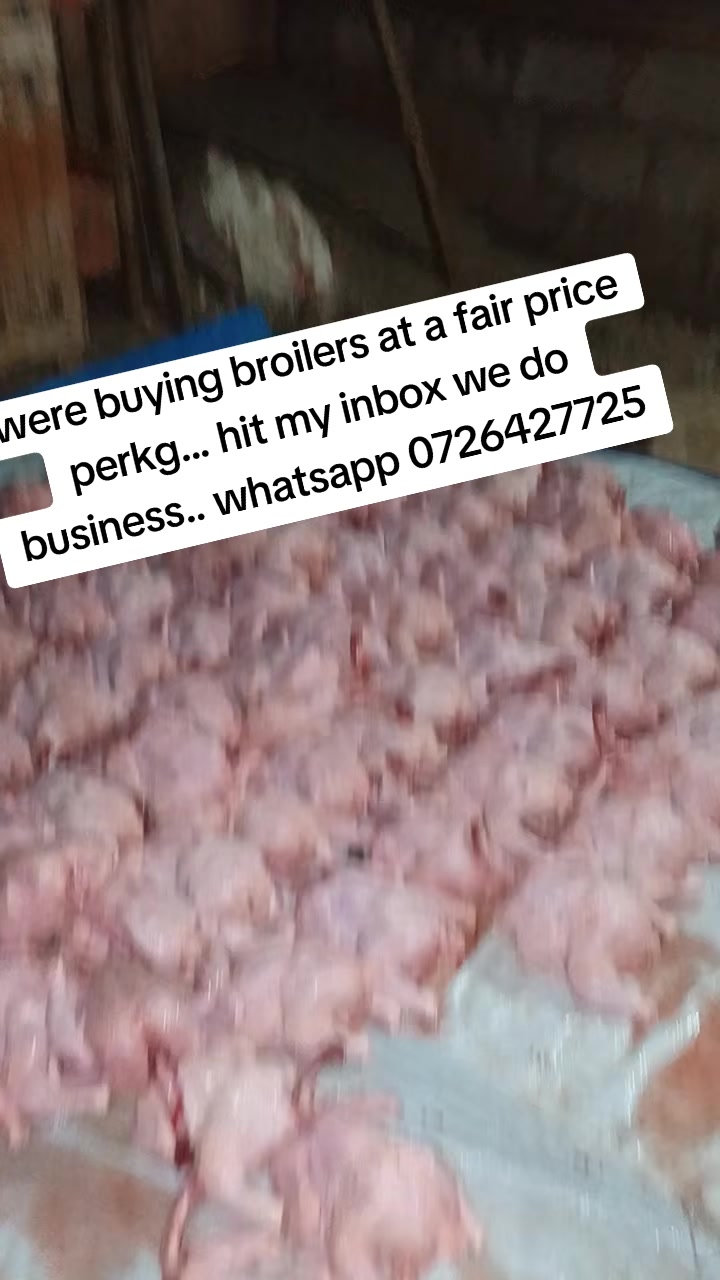 @Pigbreeder