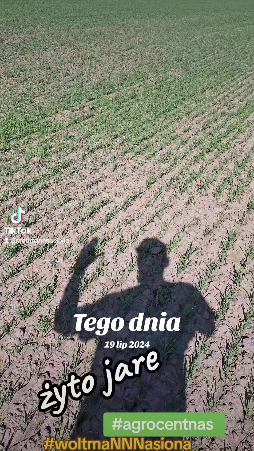 @WOLTMANNNASIONA