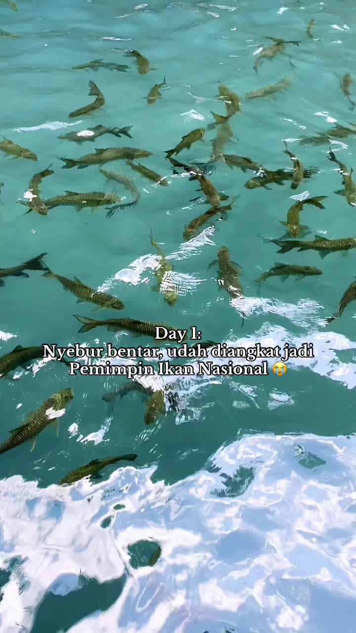 @Malalatrip_