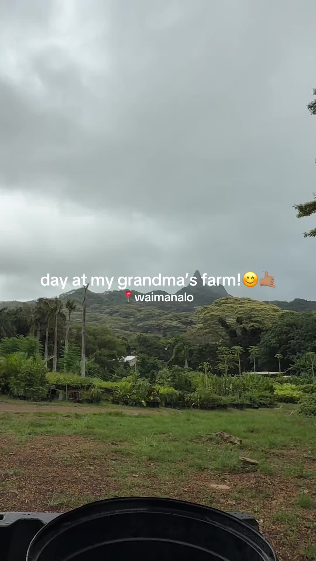 @plantedbymal 🌺