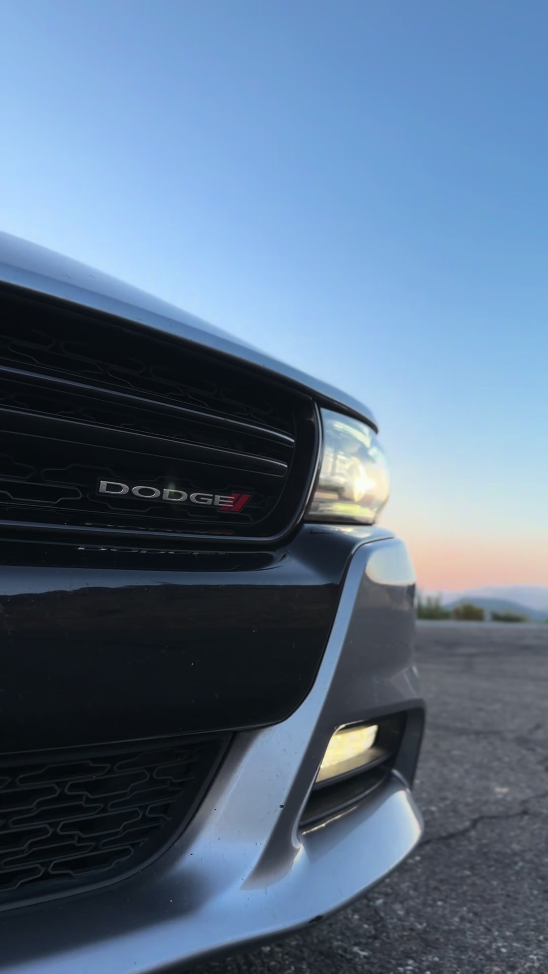 @HailsRt 🩶