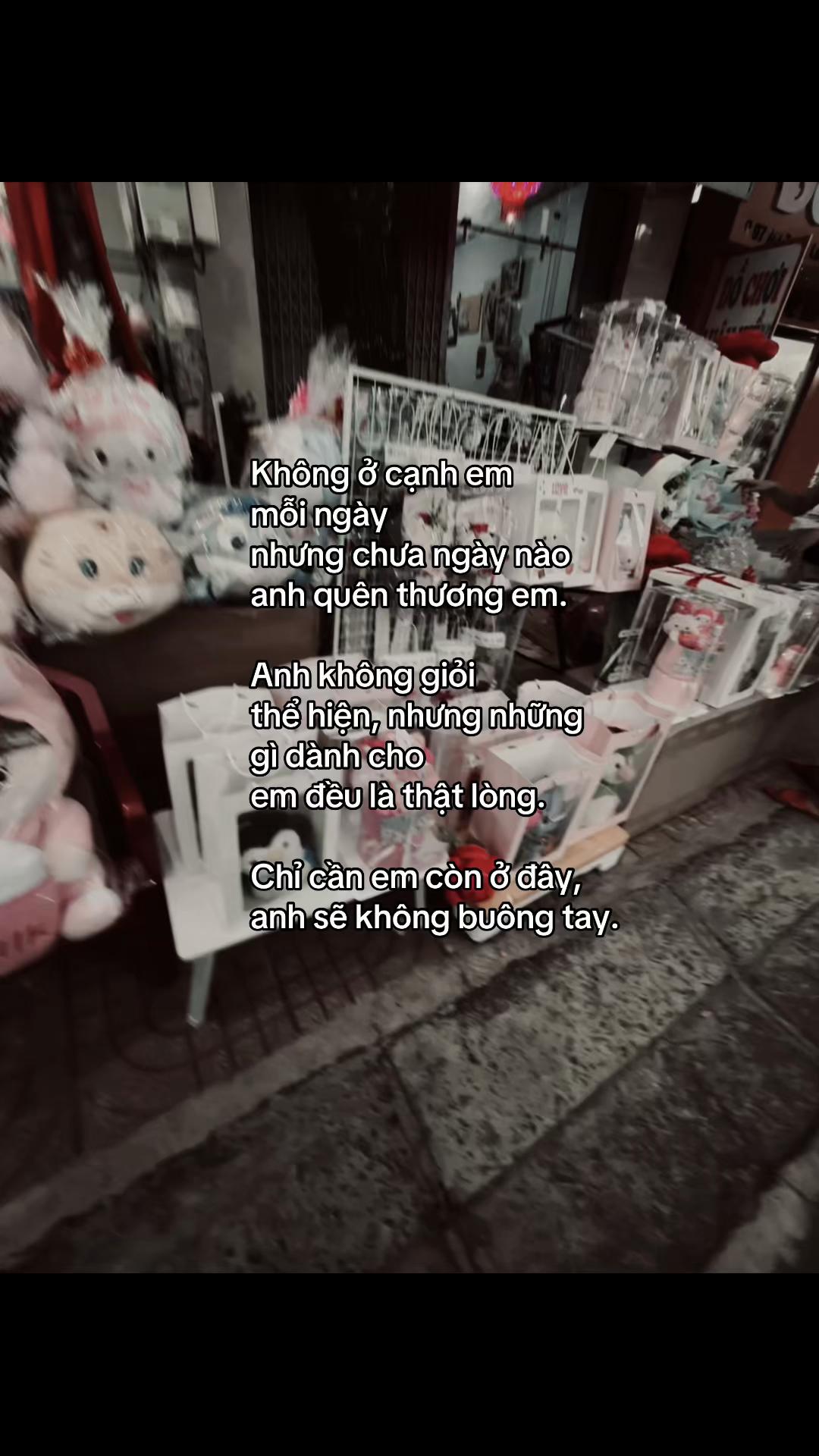 @๐๐ข๐ฏ๐จ๐๐ฉ๐ฐ๐ข