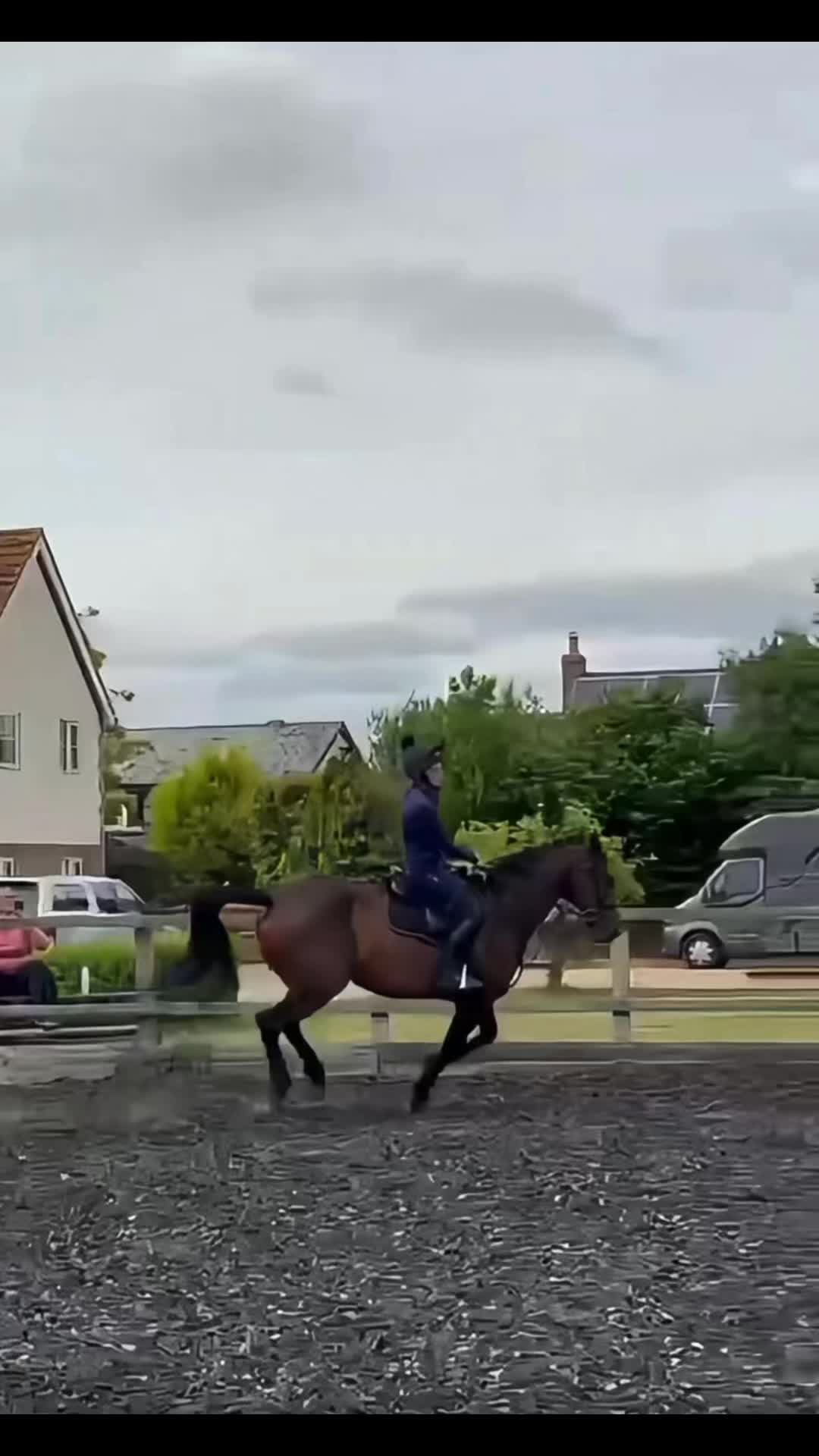 @MG.eq🇬🇧🐴